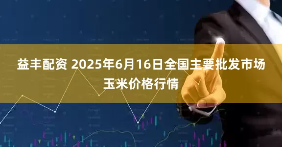 益丰配资 2025年6月16日全国主要批发市场玉米价格行情