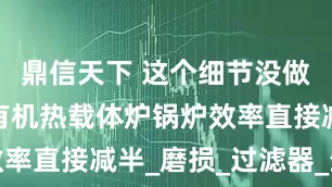 鼎信天下 这个细节没做好，液相有机热载体炉锅炉效率直接减半_磨损_过滤器_生产