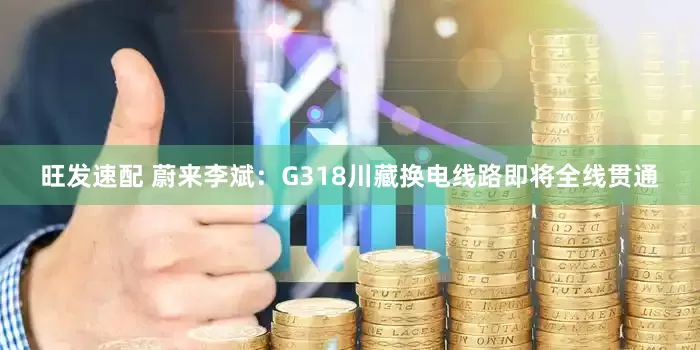 旺发速配 蔚来李斌：G318川藏换电线路即将全线贯通