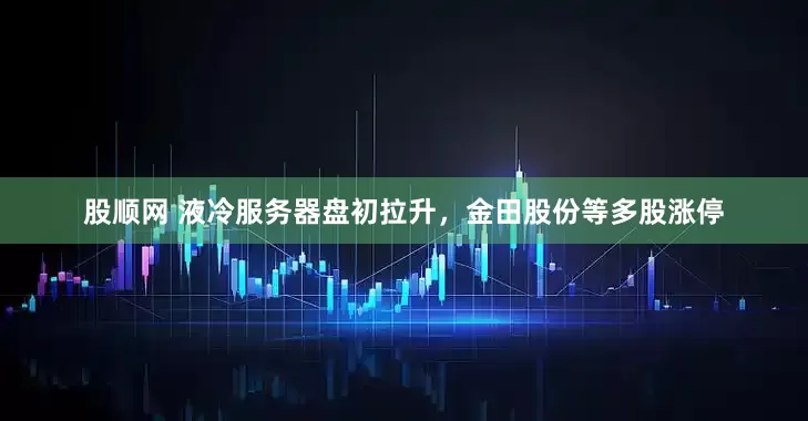 股顺网 液冷服务器盘初拉升，金田股份等多股涨停