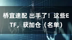 桥宜速配 出手了！这些ETF，获加仓（名单）