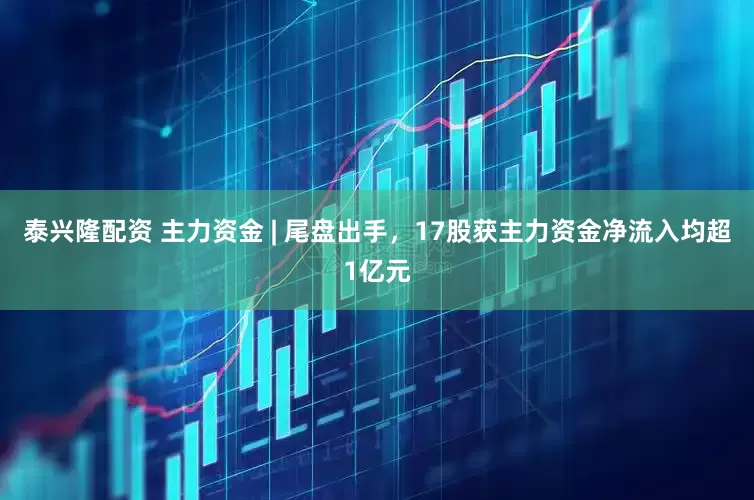 泰兴隆配资 主力资金 | 尾盘出手，17股获主力资金净流入均超1亿元