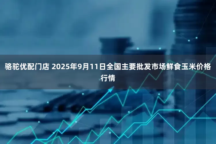 骆驼优配门店 2025年9月11日全国主要批发市场鲜食玉米价格行情