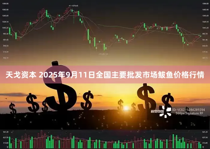 天戈资本 2025年9月11日全国主要批发市场鲅鱼价格行情
