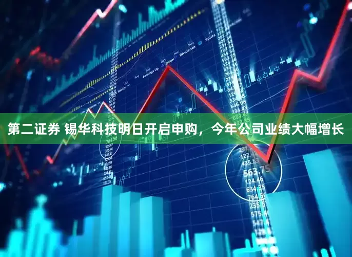 第二证券 锡华科技明日开启申购，今年公司业绩大幅增长