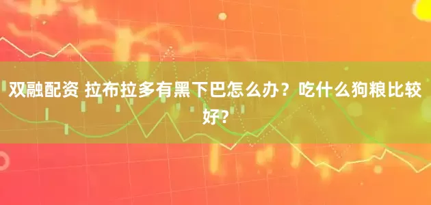 双融配资 拉布拉多有黑下巴怎么办？吃什么狗粮比较好？